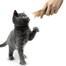APPLAWS Cat Treat 8 x 7 g skanėstams katėms vištiena