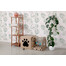 CARTON+ PETS namas draskykle katėms Netti