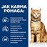 HILL'S Prescription Diet c/d Multicare su vištiena 3kg