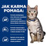 HILL'S PRESCRIPTION DIET c/d Multicare Stress + Metabolic drėgnas kačių ėdalas su vištiena 12x85g
