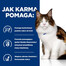 HILL'S PRESCRIPTION DIET Feline w/d Multi-Benefit z vištiena 12x85 g paketėliuose