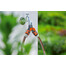 GARDENA OGS dvigubas vožtuvas su 1 "sriegiu ir 3/4" adapteriu