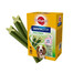 PEDIGREE DentaStix Daily Fresh vištienos skonio skanėstai vidutinio dydžio šunims 4x180g