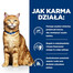 HILL'S Prescription Diet Feline C/D Multicare Urinary care su lašiša 12x85g