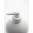 SIMPLY FROM NATURE Salmon oil Lašišų aliejus 500 ml