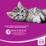 WHISKAS Suché krmivo junior kuřecí 300 g
