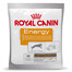 ROYAL CANIN Maisto papildas Energy 30 x 50 g skanėstas suaugusiems šunims, aktyviems