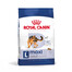 ROYAL CANIN Maxi Adult 15 kg sausas ėdalas suaugusiems šunims, iki 5 metų amžiaus, didelėms veislėms