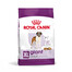 ROYAL CANIN Giant Adult 15 kg sauso ėdalo suaugusiems šunims, nuo 18/24 mėn., didžiosioms veislėms