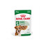 ROYAL CANIN Mini ageing 8+ drėgnas maistas padaže suaugusiems vyresniems nei 8 metų amžiaus mažų veislių šunims 12x85 g