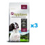 APPLAWS Puppy Large Breed Chicken 6 kg (3x2 kg) su vištiena didelių veislių šuniukams