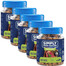 SIMPLY FROM NATURE Smart Bites Elnienos dresiruokliai šunims 5x130g