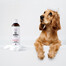 PETS Shampoo Camomile Šampūnas jautriai odai 250 ml