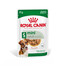 ROYAL CANIN Mini adult 12x85 g