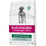 Eukanuba Restricted Calories Adult su vištiena 12 kg