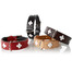 HUNTER Swiss odinis antkaklis dydis XS (32) 24-28,5/2,6 cm juodas