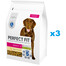 PERFECT FIT Adult 1+ sausas visavertis ėdalas suaugusiems didelių veislių šunims su vištiena 3x2,6 kg