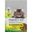 PERFECT FIT Natural Vitality 1+ su vištiena ir kalakutiena 650 g - sausas ėdalas suaugusioms katėms