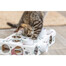 TRIXIE Cat Activity Paws'n'Treats Box lavinamasis žaislas katėms 35×7×20 cm kartoninė dėžė