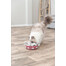 TRIXIE Cat Activity Hide'n'Sniff Bowl lavinamasis katės žaislas 18 cm plastikinis