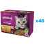 WHISKAS Adult 48x85g Paukštienos frikasė drėgnas kačių ėdalas su vištiena, kalakutiena, paukštiena, antiena