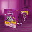 WHISKAS Adult 300 g sausas visavertis ėdalas su gardžia vištiena suaugusioms katėms
