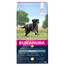 Eukanuba Adult Large Breeds Chicken 15 kg