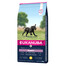 EUKANUBA Puppy Large Breeds Chicken 15 kg