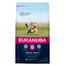 EUKANUBA Active Adult Toy Breed Chicken 2 kg