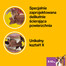 PEDIGREE Dentastix mažoms veislėms 45 g