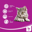 WHISKAS konservuotas kačių maistas su vištiena 400 g
