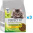 PERFECT FIT Natural Vitality sausas visavertis pašaras suaugusioms katėms su vištiena ir kalakutiena 3x2,4 kg