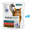 PERFECT FIT Sterile 1+ 6x750 g sausas visavertis pašaras suaugusioms katėms, kuriame gausu jautienos