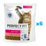 PERFECT FIT Active 1+ 6x750 g sausas visavertis pašaras suaugusioms katėms, kuriame gausu jautienos