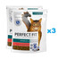 PERFECT FIT Sterile 1+ 6x750 g sausas visavertis kačių ėdalas su daug jautienos