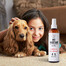 PETS Magic Care kailio dulksna 250 ml