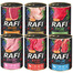 DOLINA NOTECI Rafi Premium Mix smaków 48x400g