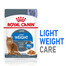 ROYAL CANIN light weight care jelly 24x85 g mokra karma dla dorosłych kotów z nadwagą
