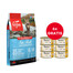 ORIJEN 6 Fish Cat 5.4 kg + APPLAWS Cat Adult Mousse Chicken putėsiai su vištiena 6 x 70g NEMOKAMAI