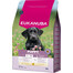 EUKANUBA Puppy Large Breeds Chicken 3 kg sausas maistas didelių veislių šuniukams, turintis šviežio vištienos