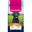 EUKANUBA Junior Large Breeds Chicken 15 kg sausas maistas jauniems didelių veislių šunims, turintis šviežio vištienos