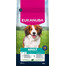 EUKANUBA Adult Small Medium Breeds Lamb Rice 12 kg sausas ėdalas mažiems ir vidutiniams šunims, kuriame gausu ėrienos ir ryžių