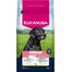 EUKANUBA Senior Large Breeds Chicken 3 kg sausas maistas vyresniems didelių veislių šunims, turintis šviežio vištienos