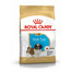 ROYAL CANIN Shih Tzu Puppy Junior sausas maistas šuniukams iki 10 mėnesių amžiaus, ših tzu veislės, 2 x 1,5 kg