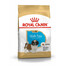 ROYAL CANIN Shih Tzu Puppy Junior sausas maistas šuniukams iki 10 mėnesių amžiaus, ših tzu veislės, 4 x 1,5 kg