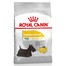 ROYAL CANIN CCN Mini Dermacomfort sausas maistas suaugusiems šunims, mažų veislių, su jautria oda, linkusia į dirginimus 4x1 kg