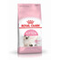 ROYAL CANIN Kitten 24x400 g sausas maistas kačiukams nuo 4 iki 12 mėnesių amžiaus
