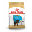 ROYAL CANIN Yorkshire Terrier Puppy Junior Sausas maistas šuniukams iki 10 mėnesių, veislė – jorkšyro terjeras, 12 x 0,5 kg