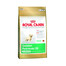 ROYAL CANIN Golden retriever junior 2x1 kg