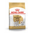 ROYAL CANIN Jack russell terrier adult 4x1.5 kg sausas maistas suaugusiems jack russell terjerams